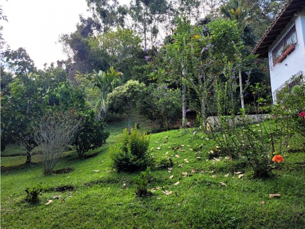 Venta Finca Vereda La Matica, Girardota, lote 5200 m2, casa 132 m2 — foto 6
