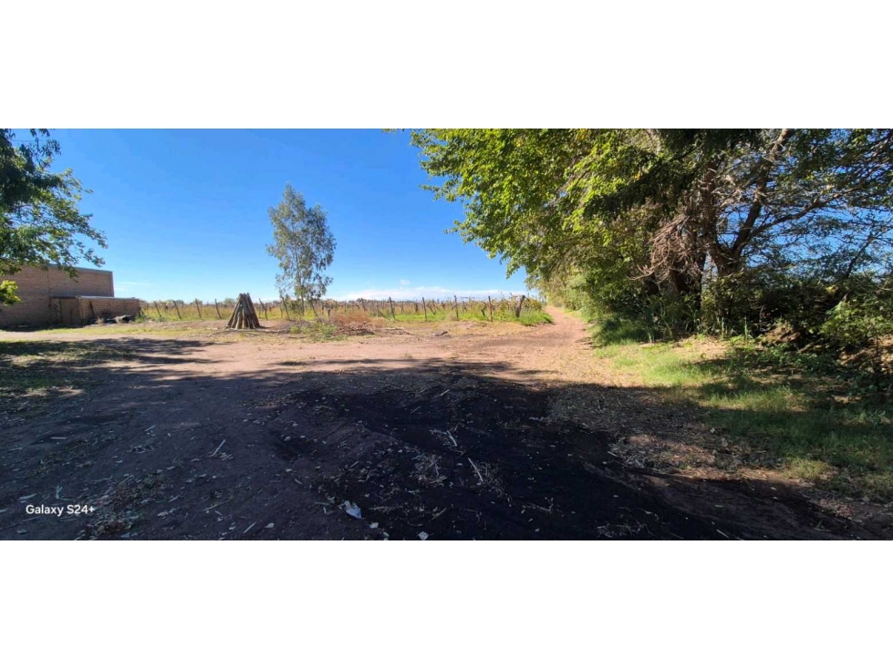 VENTA FINCA VERSATIL 64 HAS EN CALLE LAS ROSAS, LA CENTRAL, RIVADAVIA - 6