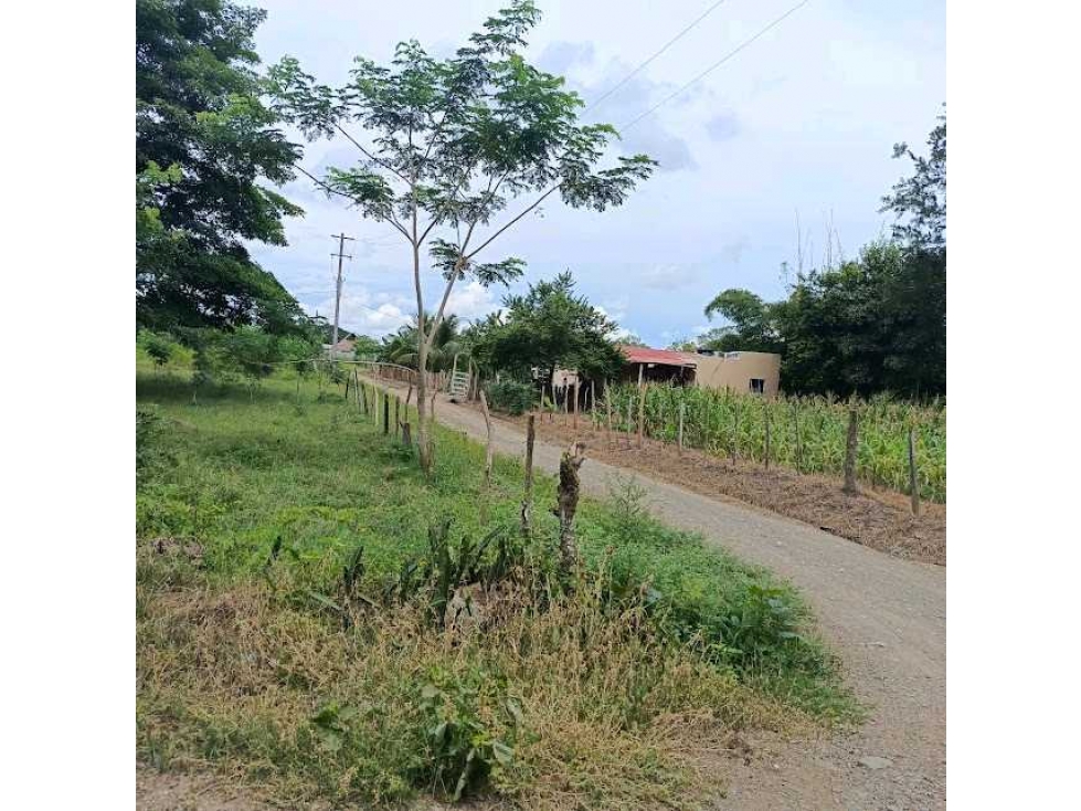 FINCA EN VENTA VIA AL CERRITO