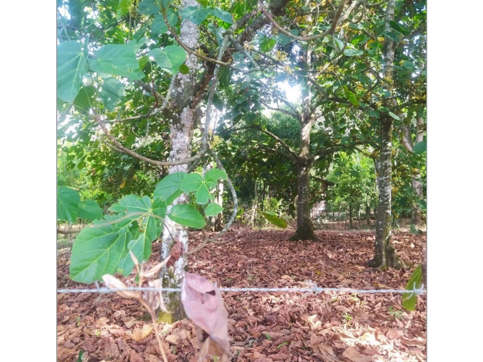 Venta FINCAen SOPETRAN — foto 4