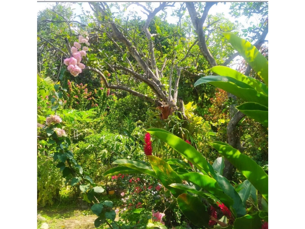 Venta FINCAen SOPETRAN — foto 6