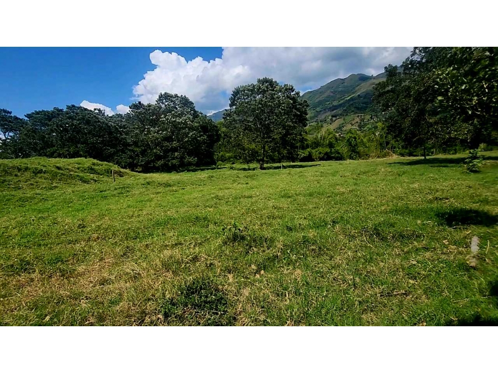 Venta Ganga lote industrial 110.000 a $ 437.000 x m2 — foto 3