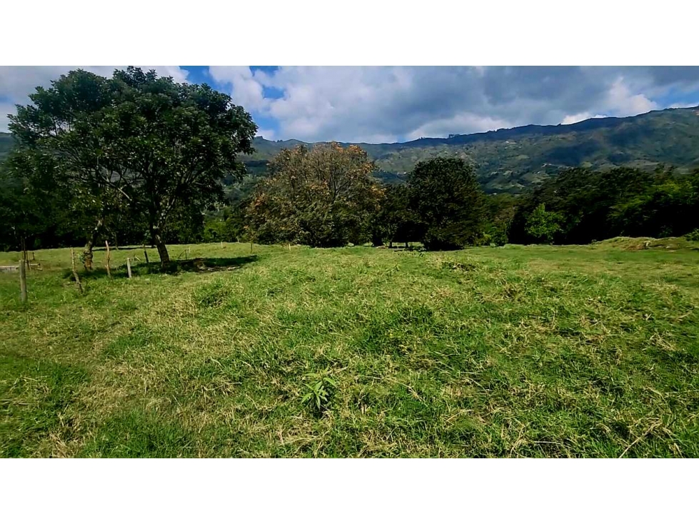 Venta Ganga lote industrial 110.000 a $ 437.000 x m2 — foto 5