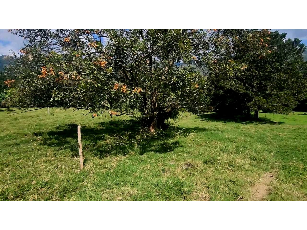 Venta Ganga lote industrial 110.000 a $ 437.000 x m2 — foto 6