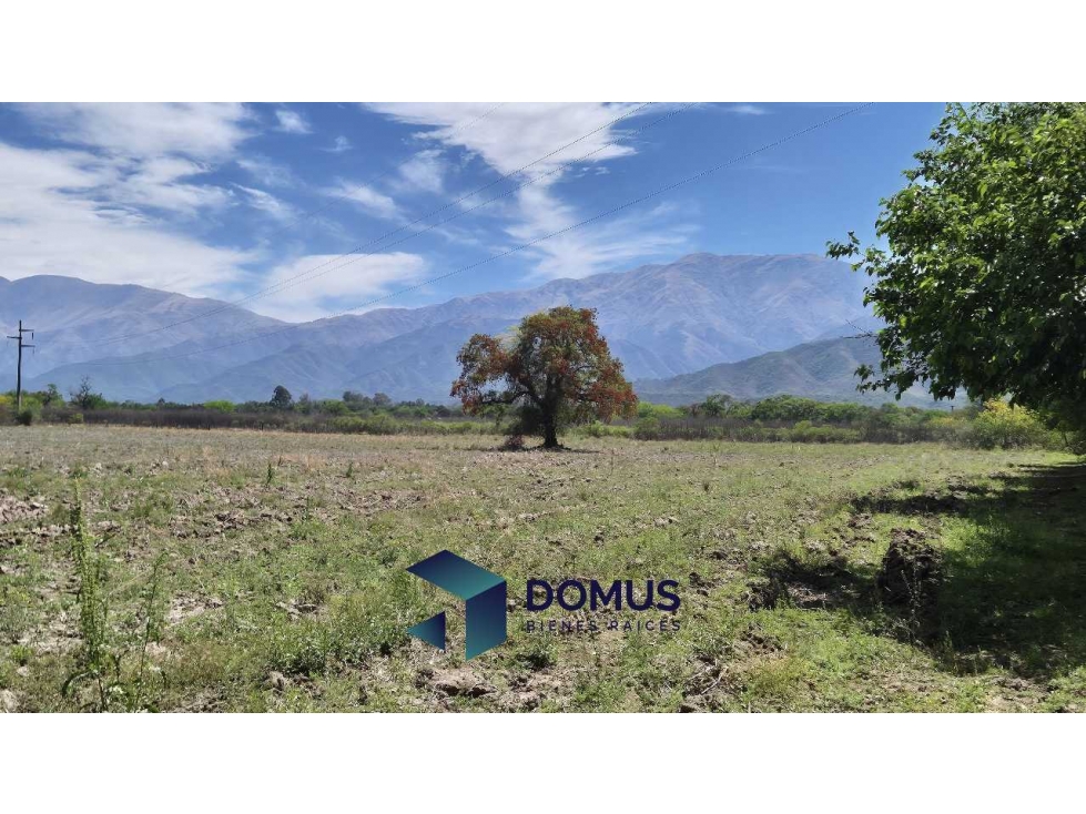 VENTA HECTAREAS LA SILLETA - 5