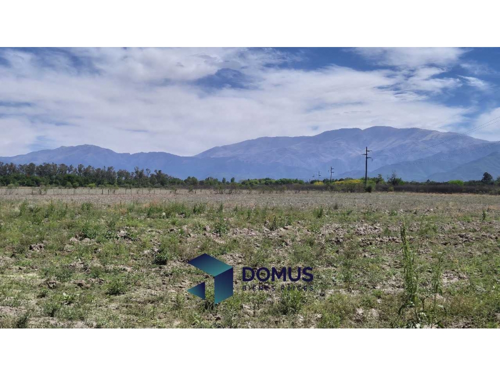 VENTA HECTAREAS LA SILLETA - 6