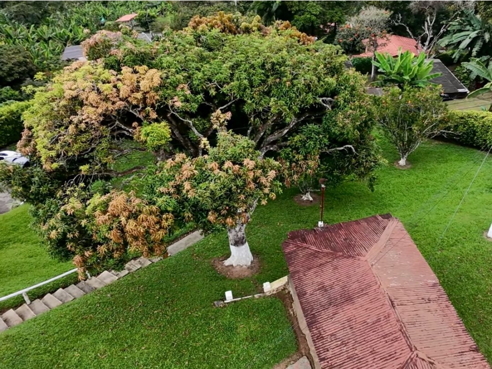 VENTA FINCA CASA CAMPESINA ESTERILLA EN PEREIRA VÍA ALTAGRACIA — foto 4