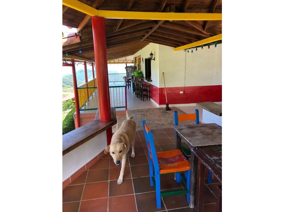 VENTA HERMOSA FINCA EN SANTA BÁRBARA - 6