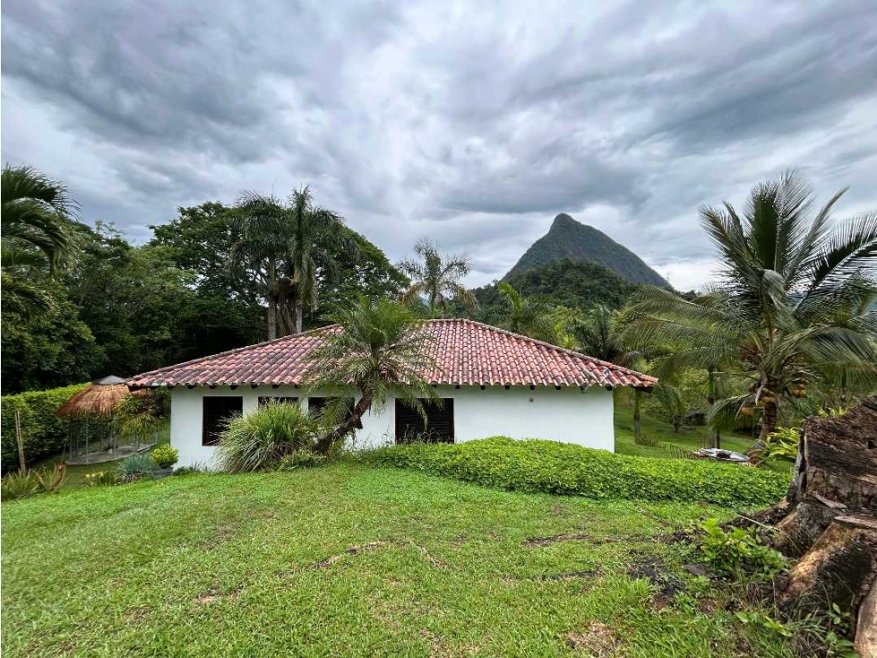 Venta hermosa finca Venecia Antioquia — foto 4