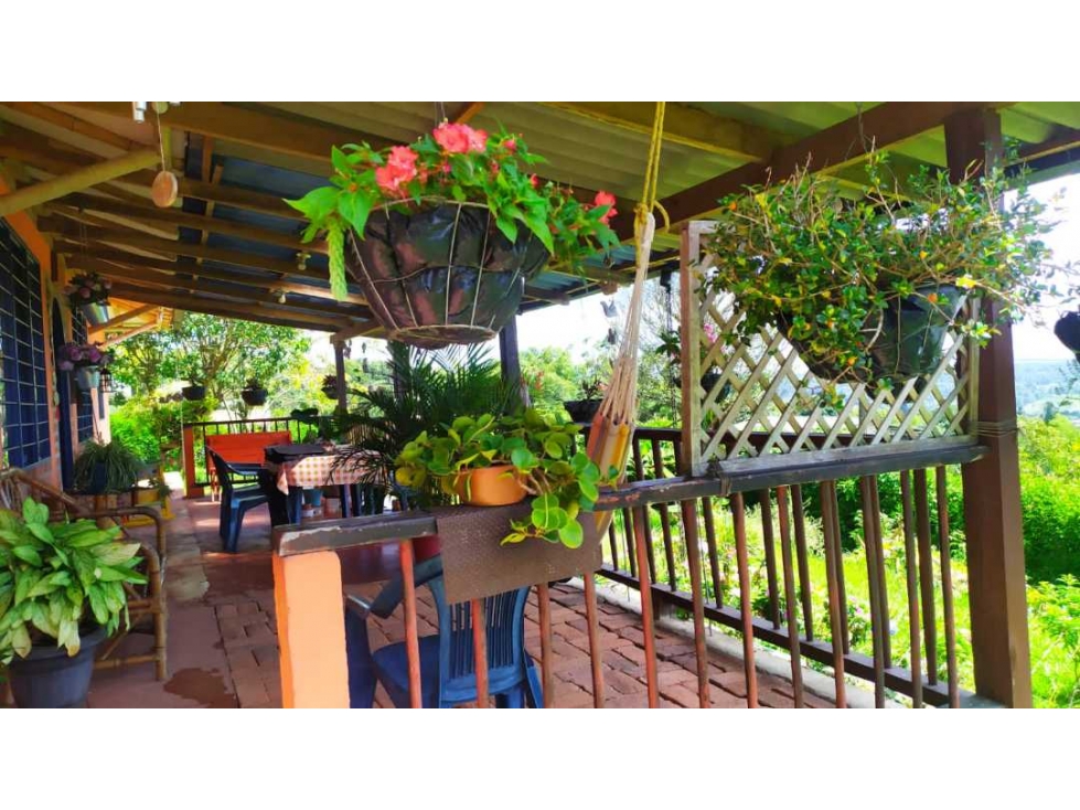 VENTA HERMOSA PARCELA EXCELENTE VISTA PANORÁMICA TUNIA - 2