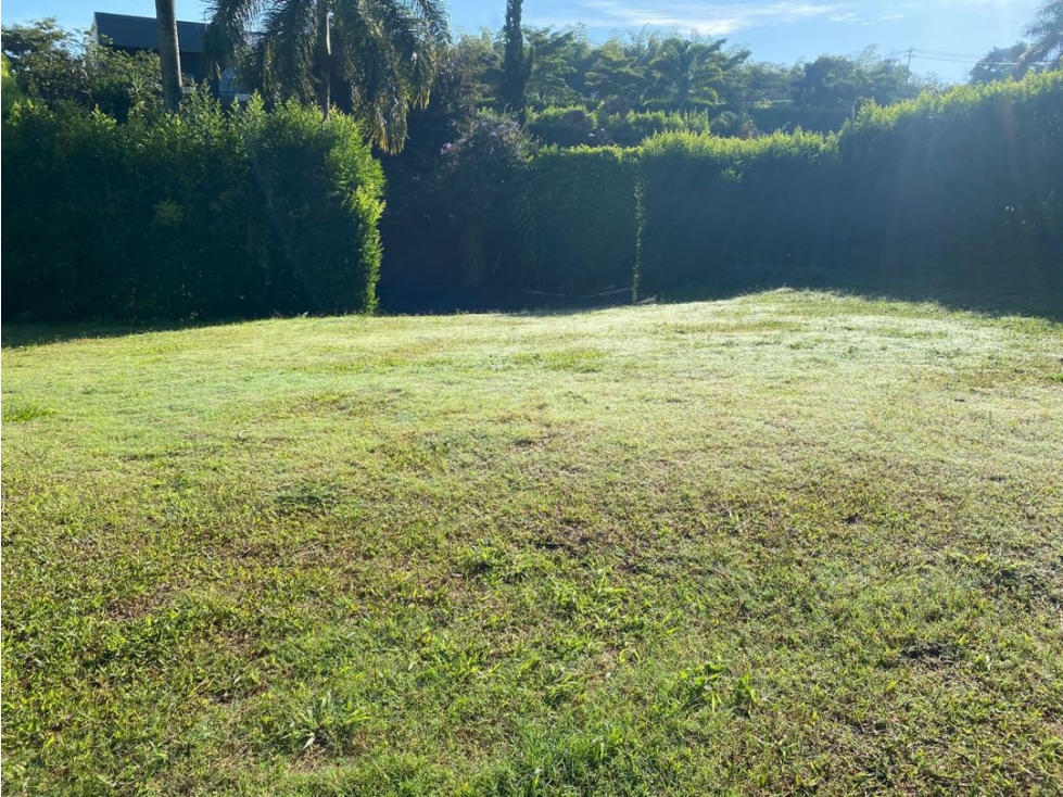 VENTA HERMOSO LOTE CAMPESTRE PLANO EN CERRITOS ENTRADA 4 — foto 3