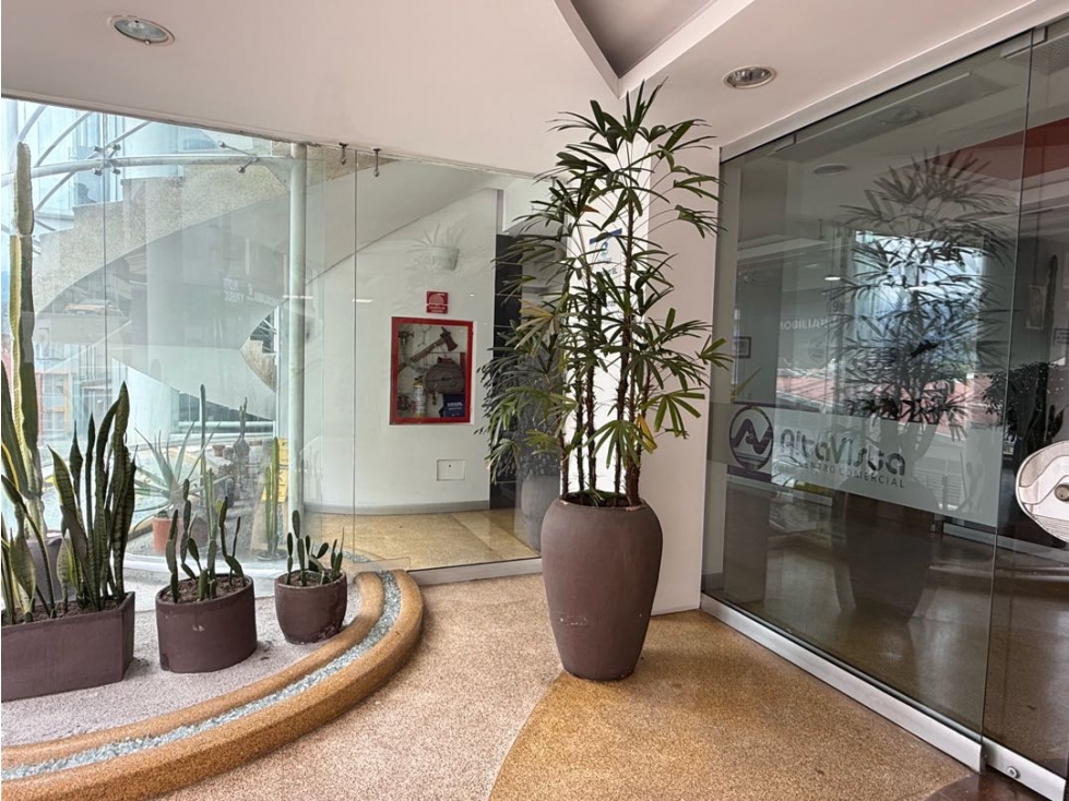 VENTA LOCAL COMERCIAL ALTAVISTA