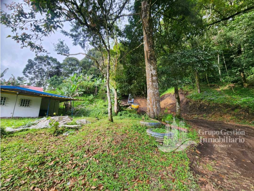 VENTA LOCAL TERRENO 2900m2 - 3