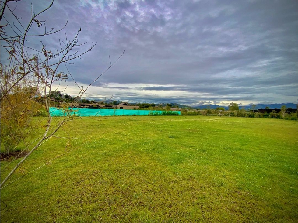 Venta Lote 100% Plano Parcelación Milla de Oro Llanogrande - 5
