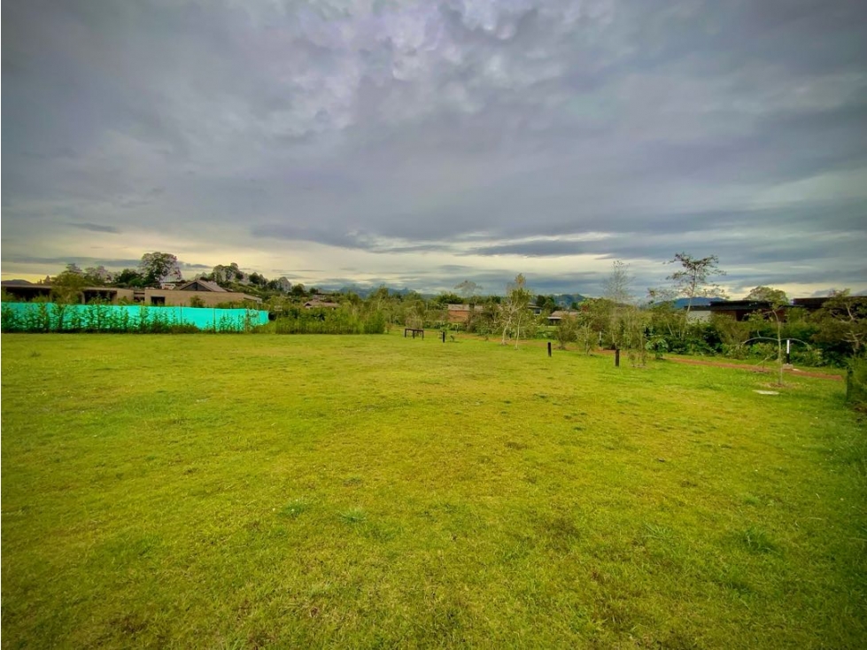 Venta Lote 100% Plano Parcelación Milla de Oro Llanogrande - 2