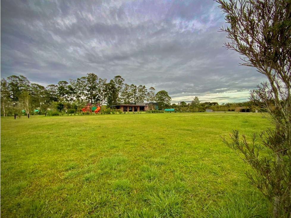 Venta Lote 100% Plano Parcelación Milla de Oro Llanogrande - 3