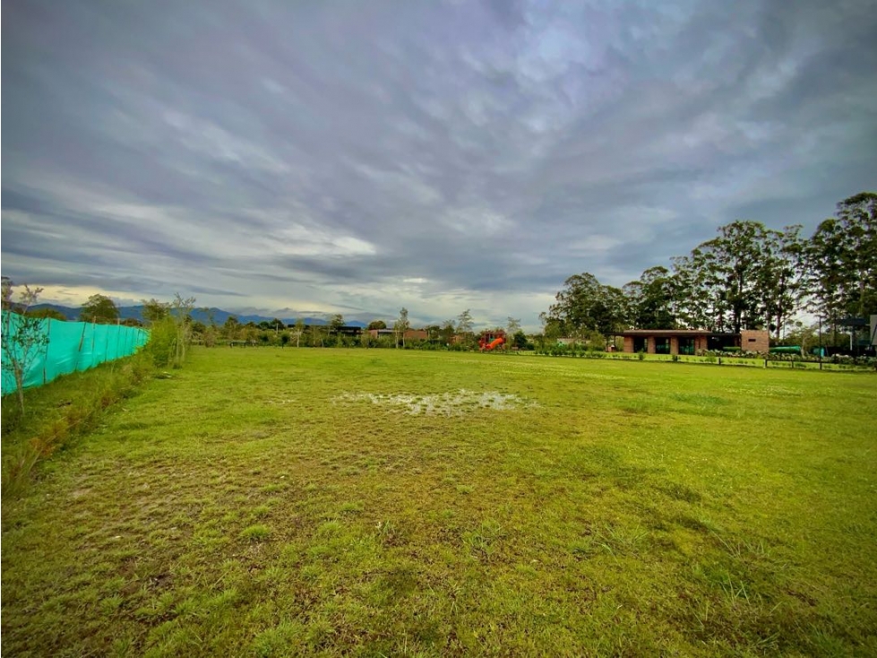 Venta Lote 100% Plano Parcelación Milla de Oro Llanogrande - 4