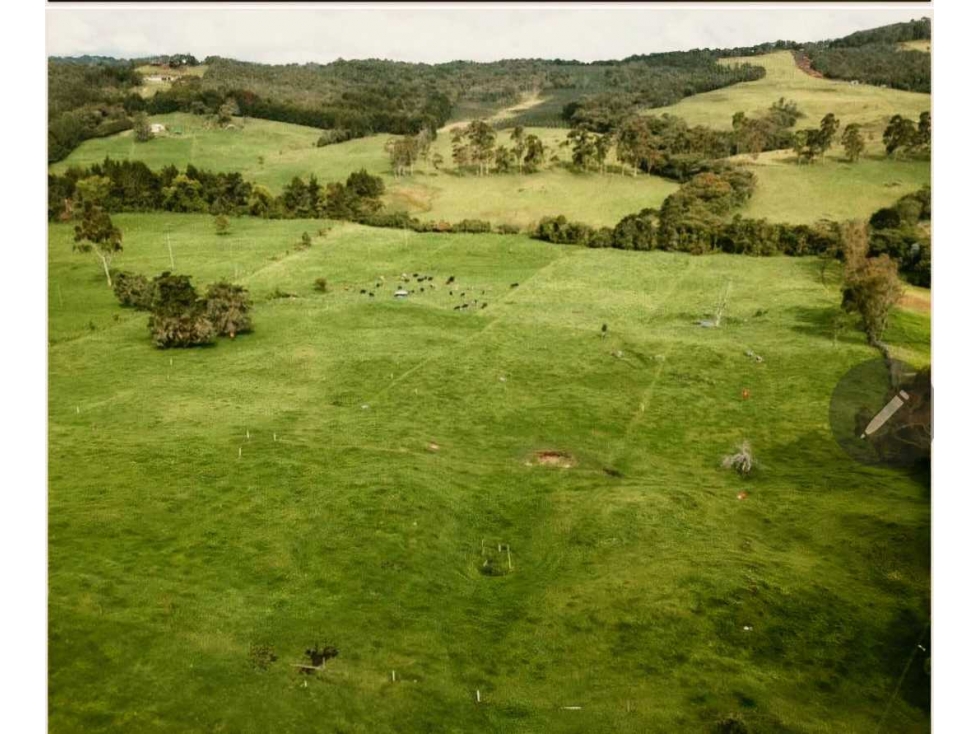 VENTA LOTE 2100 m2 ALTO DE LAS PALMAS EN PARCELACION — foto 6