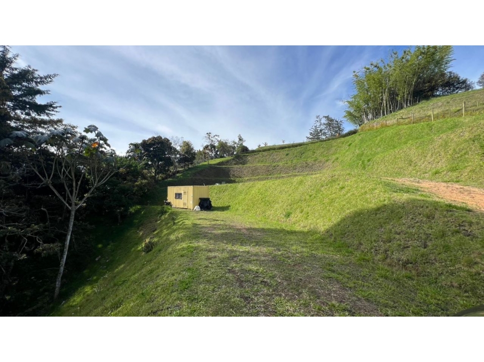 Venta lote 2.500 m² con vista a montaña y bosque en San Antonio — foto 2