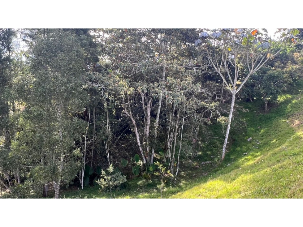 Venta lote 2.500 m² con vista a montaña y bosque en San Antonio — foto 3