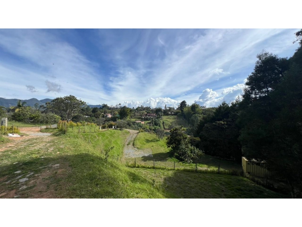 Venta lote 2.500 m² con vista a montaña y bosque en San Antonio — foto 6