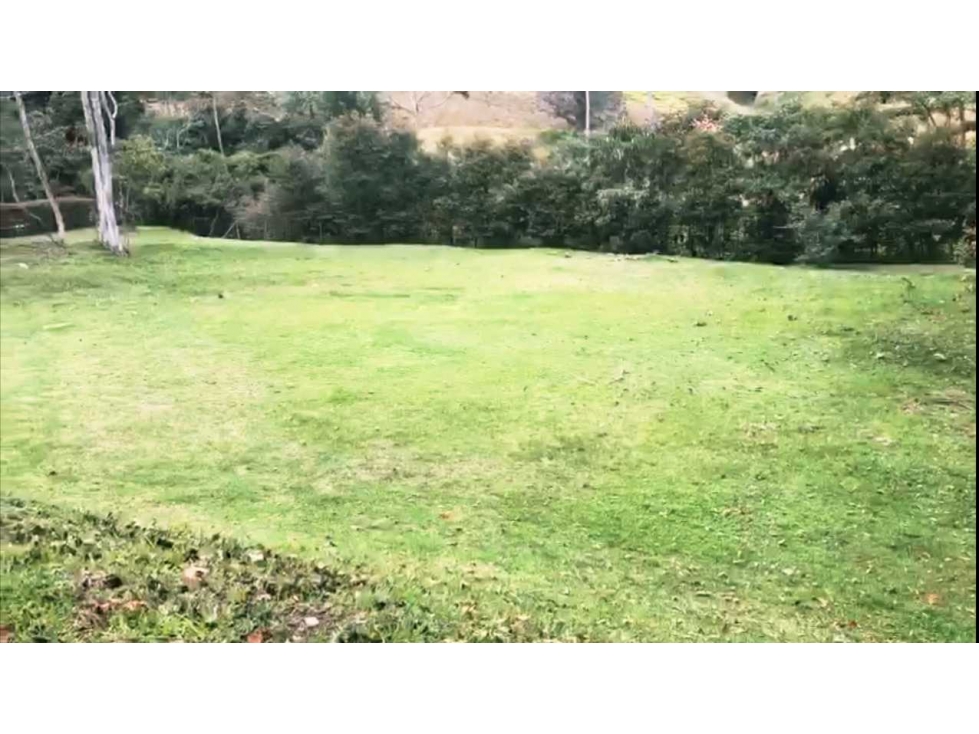 VENTA LOTE 2526 m2 EN PARCELACION VIA LA.CEJA A SAN ANTONIO