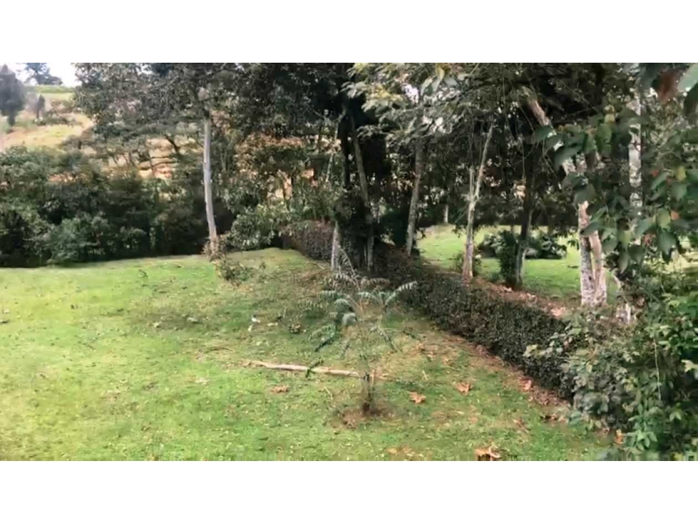 VENTA LOTE 2526 m2 EN PARCELACION VIA LA.CEJA A SAN ANTONIO — foto 6