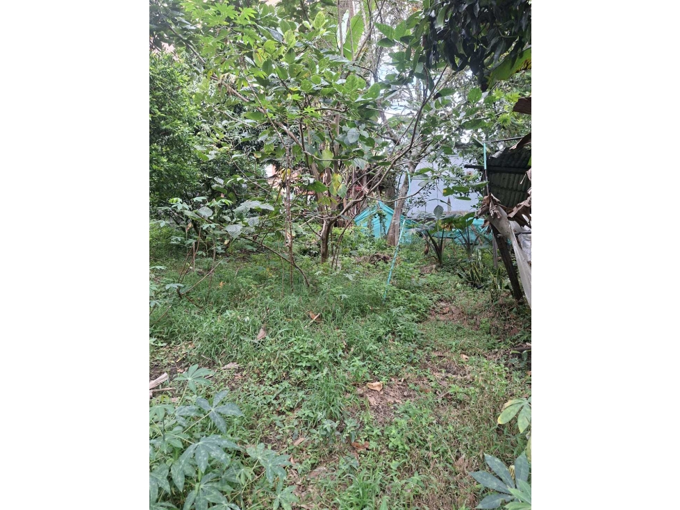 Venta Lote 478mts2 Envigado cerca a la Intermedia — foto 3