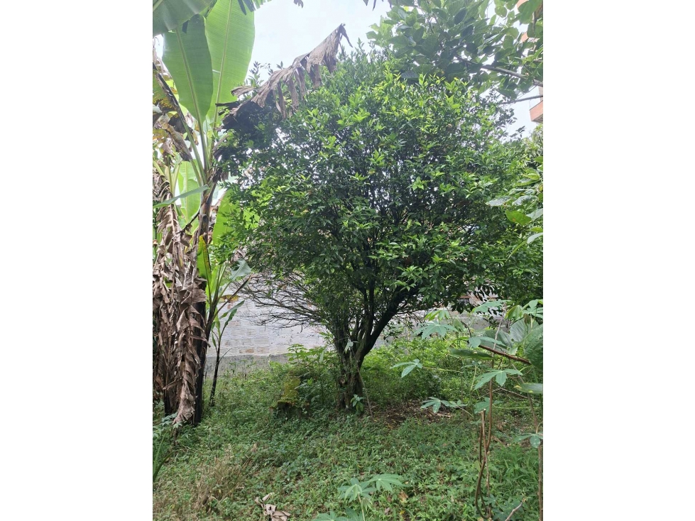 Venta Lote 478mts2 Envigado cerca a la Intermedia — foto 4