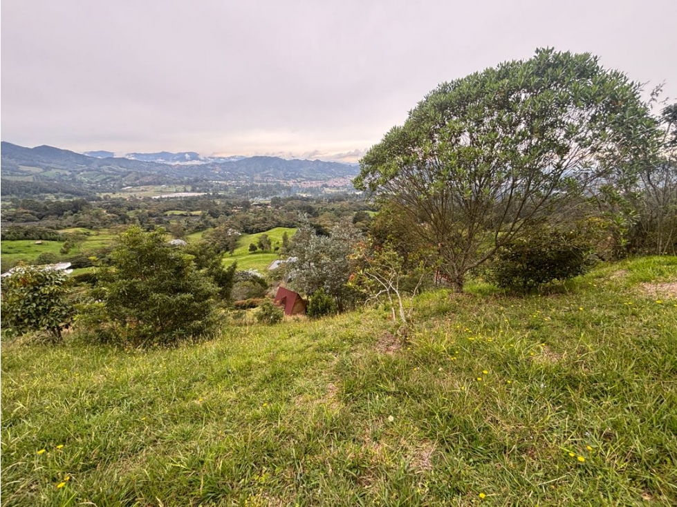 Venta lote en La Ceja de 5.000 m² con vista panorámica — foto 4