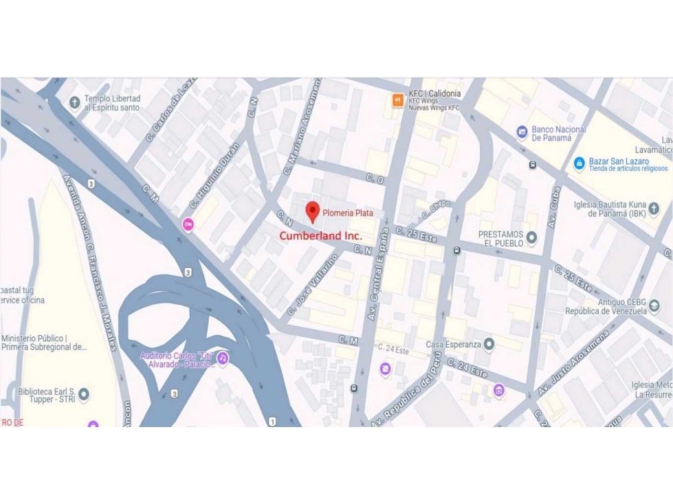 VENTA LOTE O PLAZA COMERCIAL A PASOS DE AVE CENTRAL EN CALIDONIA - 5