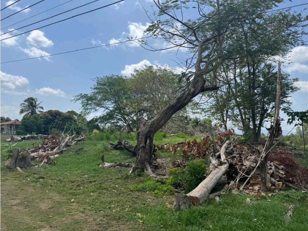 VENTA LOTE A PASOS DE LA PLAYA COSTA ESMERALDA 1007M2 — foto 5