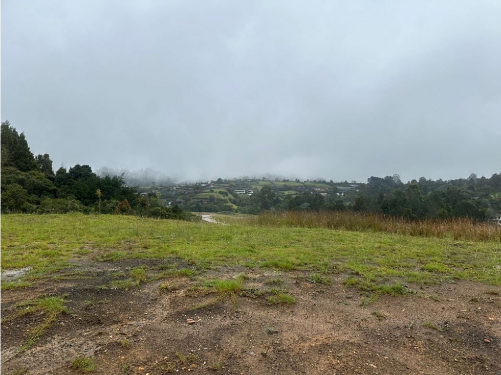 Venta lote Alto de las palmas Nevu