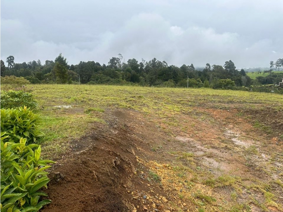 Venta lote Alto de las palmas Nevu — foto 3