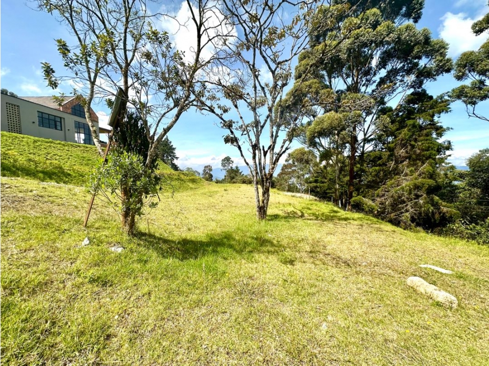 VENTA LOTE ALTO DE LAS PALMAS — foto 4