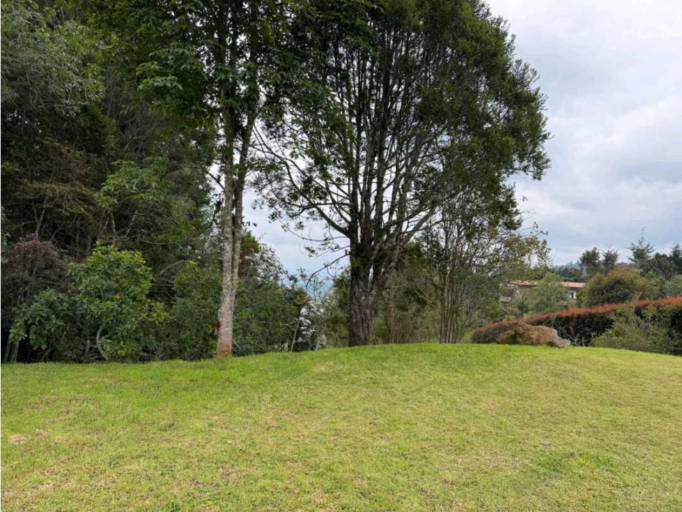 VENTA LOTE (ALTO DE LAS PALMAS ) — foto 2