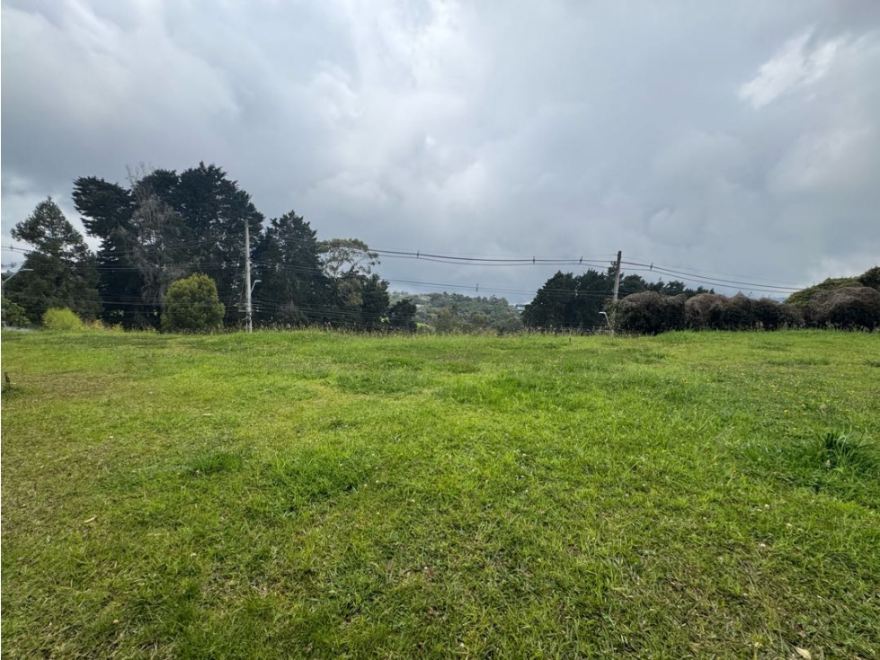 Venta lote alto de las Palmas