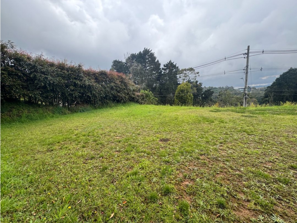 Venta lote alto de las Palmas — foto 3