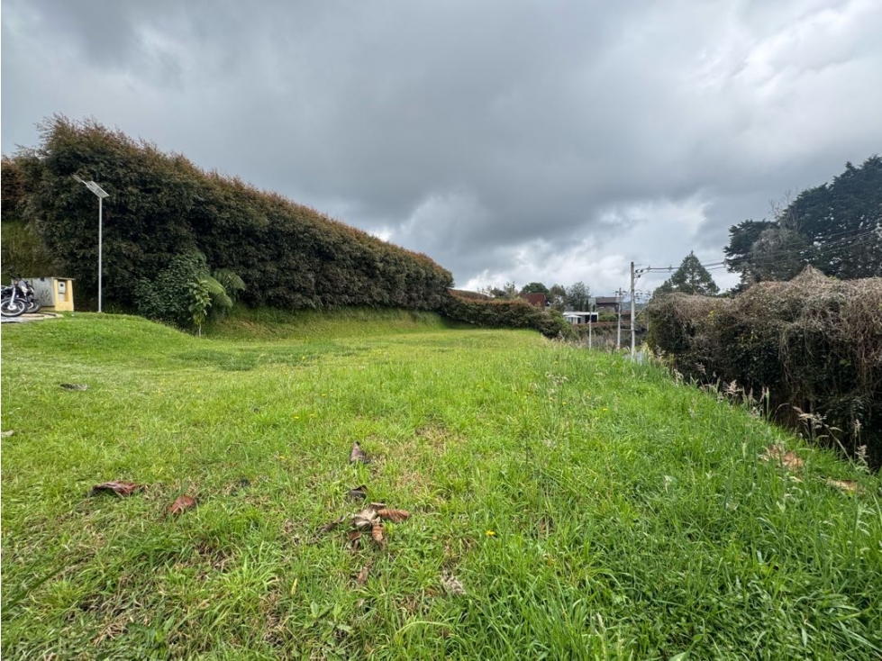 Venta lote alto de las Palmas — foto 4