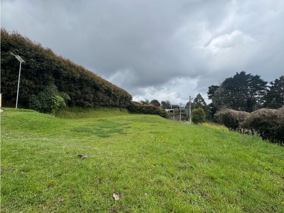 Venta lote alto de las Palmas — foto 5