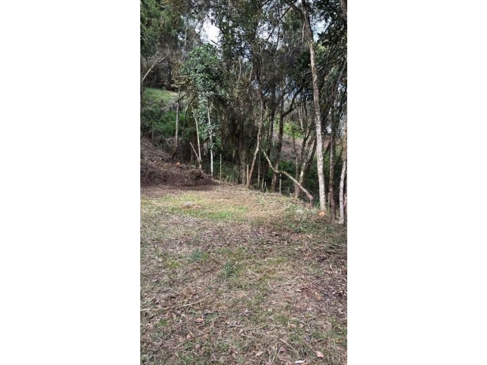 Venta Lote Alto De Las Palmas Medellín Antioquia — foto 4