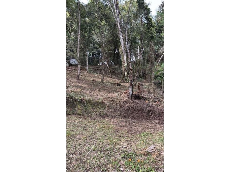 Venta Lote Alto De Las Palmas Medellín Antioquia — foto 5