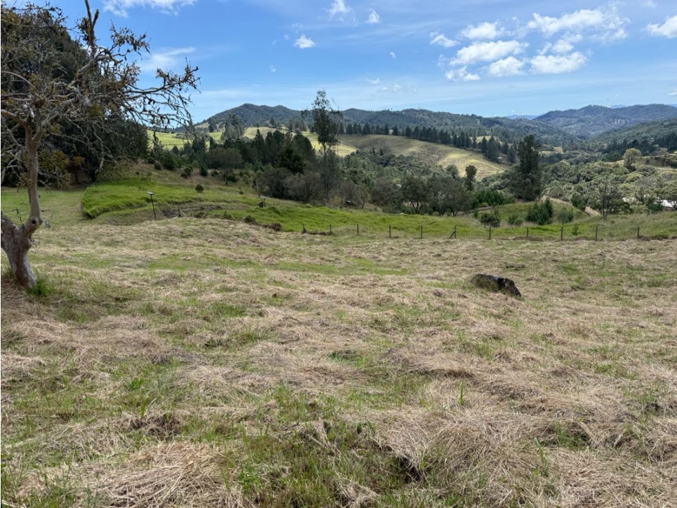 Venta Lote Alto de las Palmas Envigado 4000 Mts2 SIN PEAJES — foto 3