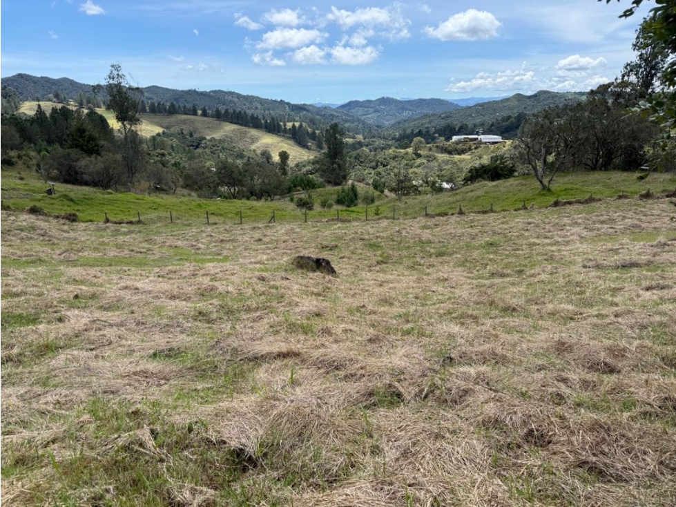 Venta Lote Alto de las Palmas Envigado 4000 Mts2 SIN PEAJES — foto 5