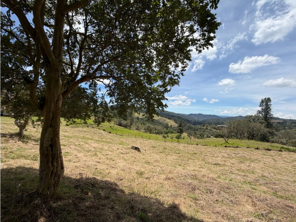 Venta Lote Alto de las Palmas Envigado 4000 Mts2 SIN PEAJES — foto 2