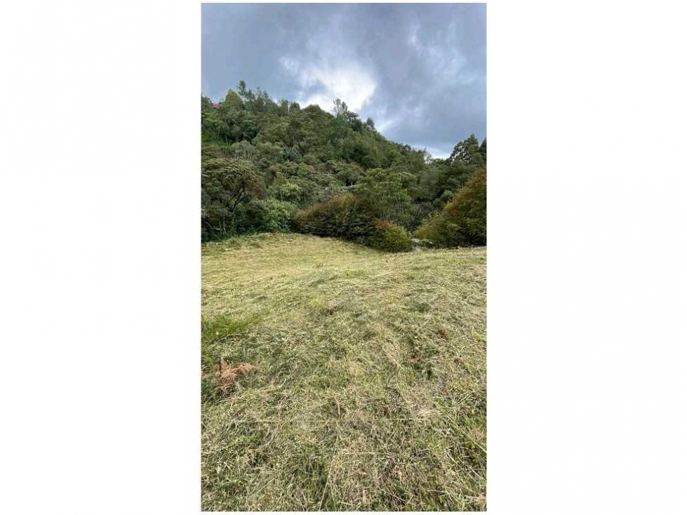 Venta Lote Alto De Palmas