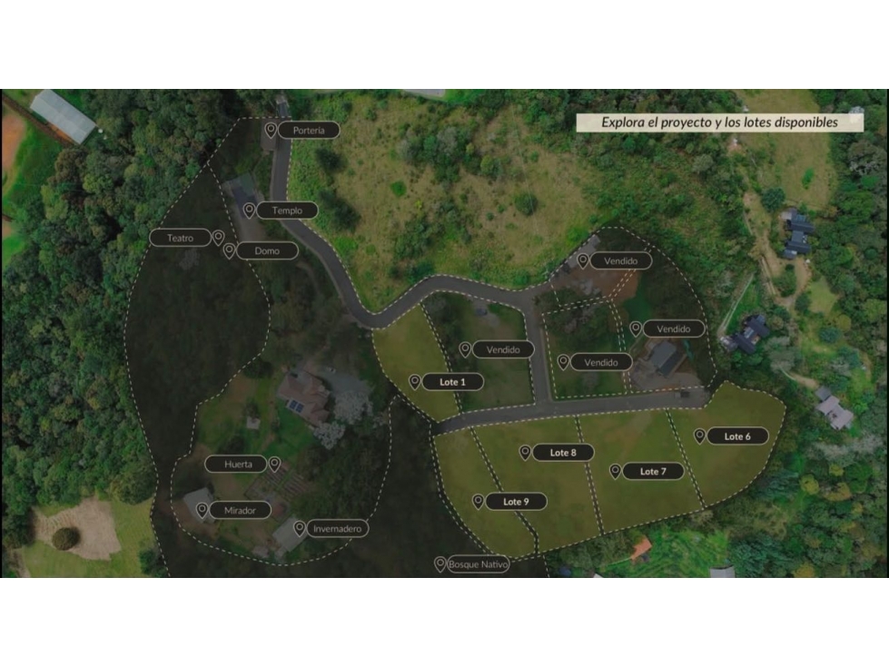 Venta lote alto de palmas