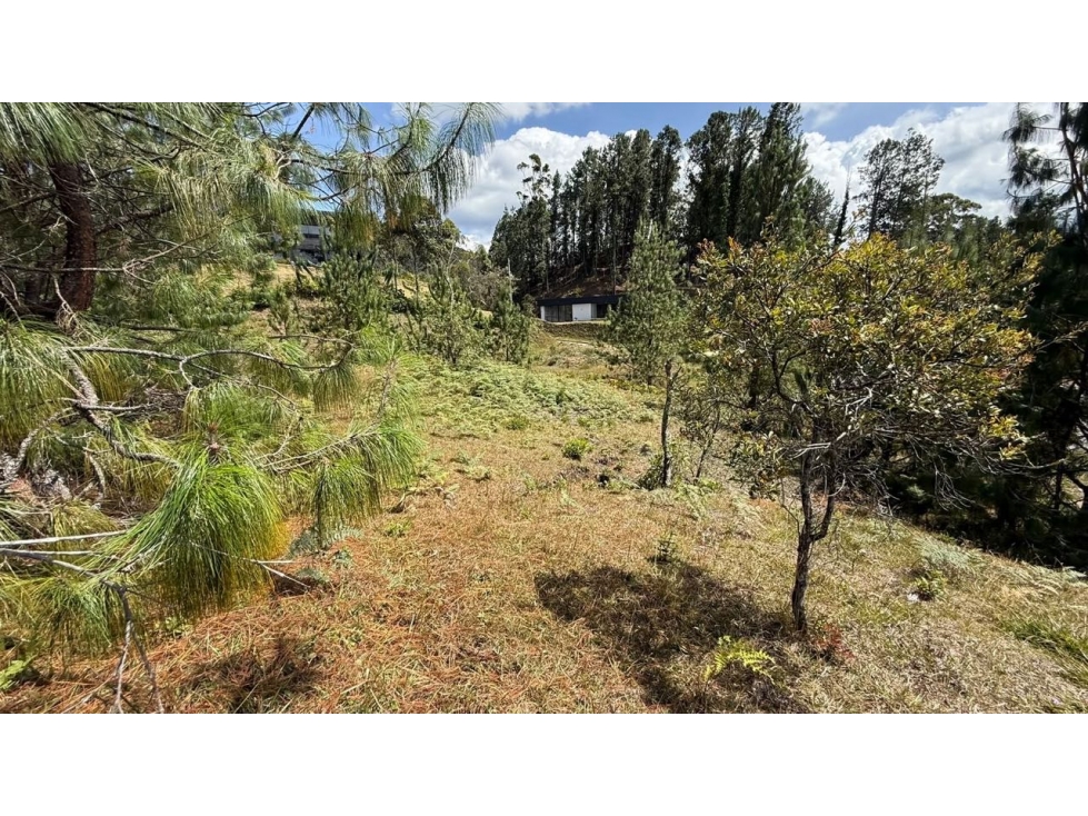 Venta Lote Alto De Palmas Medellín Antioquia