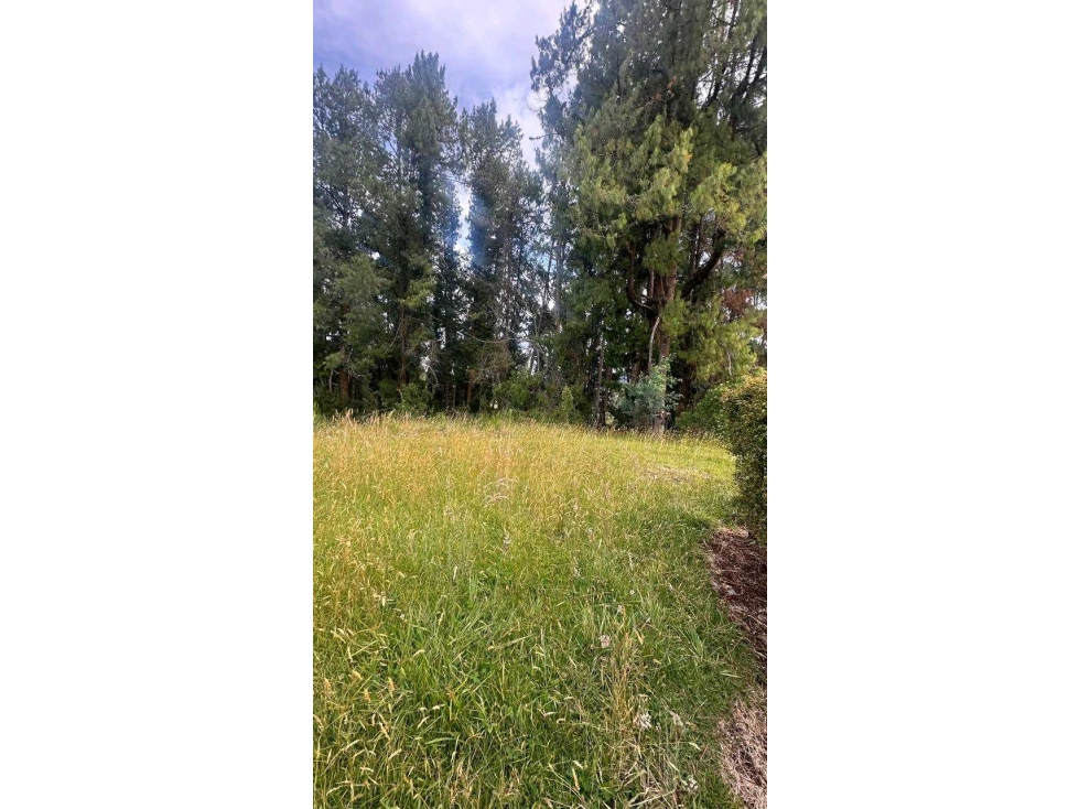Venta lote Alto de Palmas Parcelacion