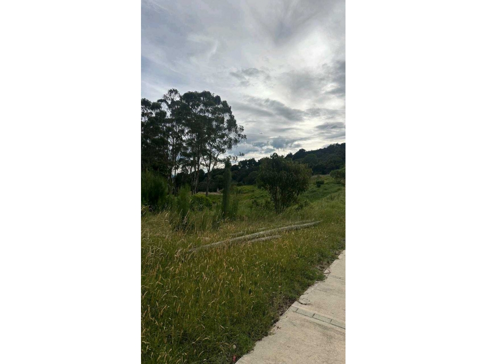 Venta lote Alto de Palmas Parcelacion — foto 5